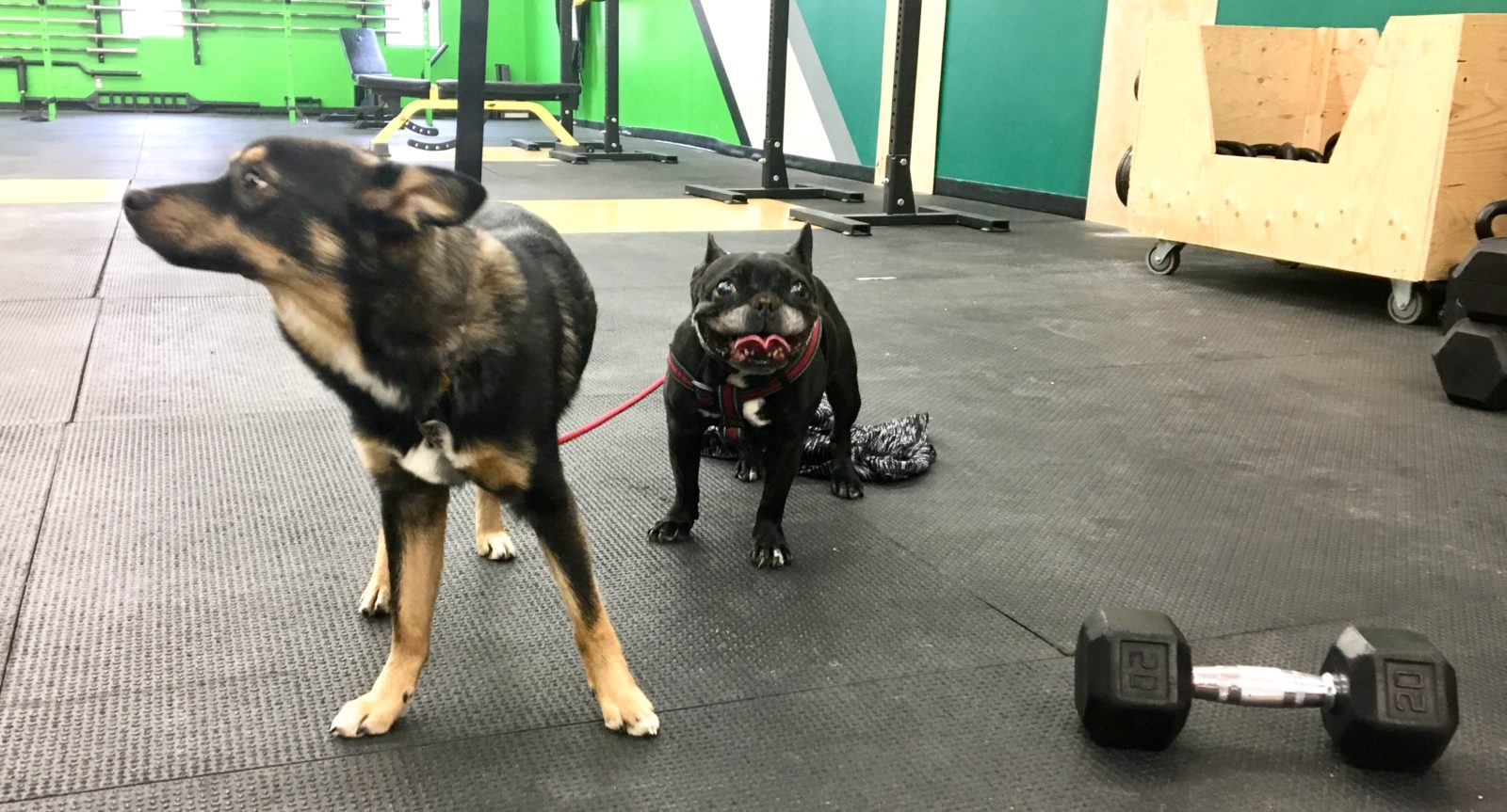 Week Preview April 8-12