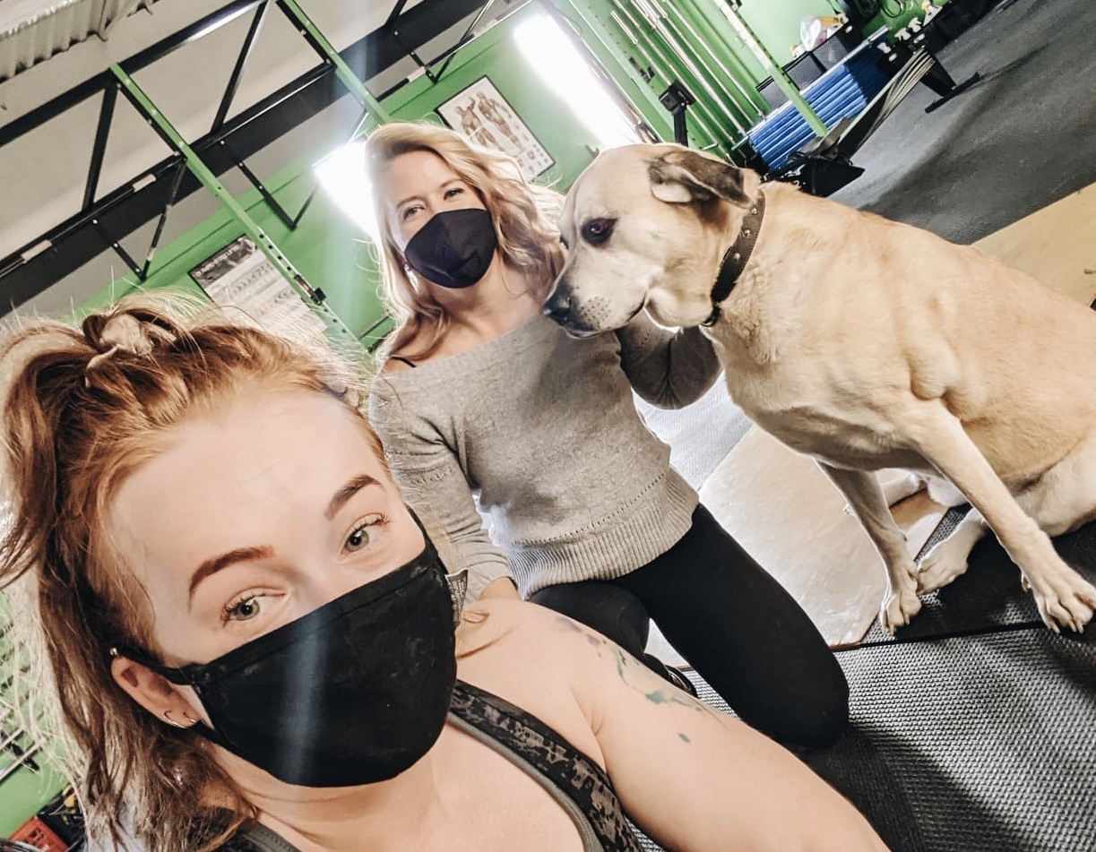 Week Preview Nov. 16-21