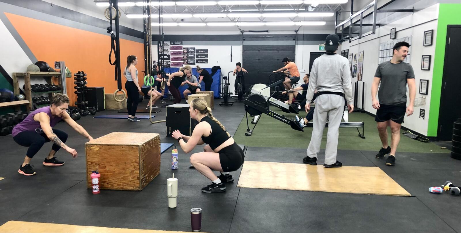 Week Preview Feb 3-Feb 8